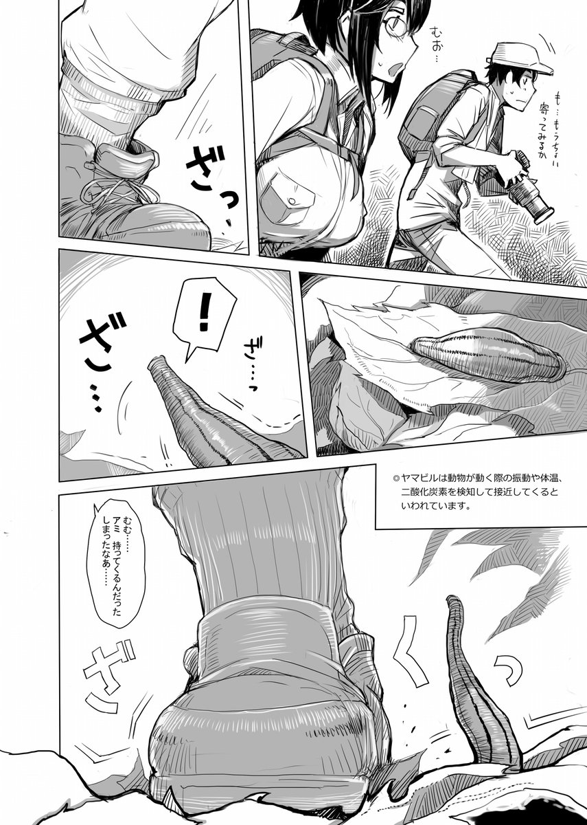 そろそろヤマビルの季節なので
とりライフの前に描いたむしまんがを再貼② 