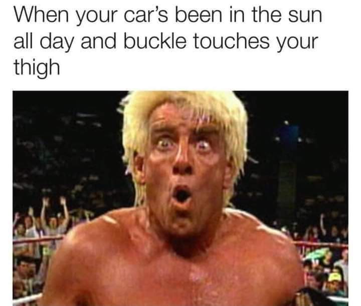 TeslaPhx's tweet image. Forgot Cabin Overheat Protection 🤣🤣🤣 #AZProblems