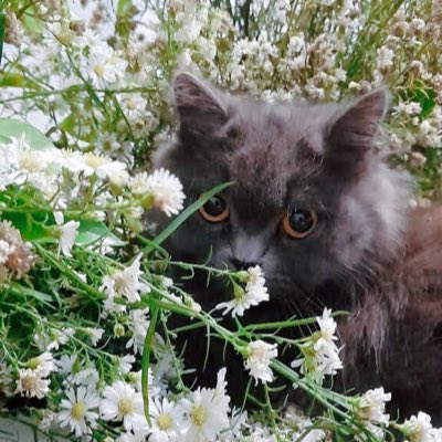 #NewProfilePic