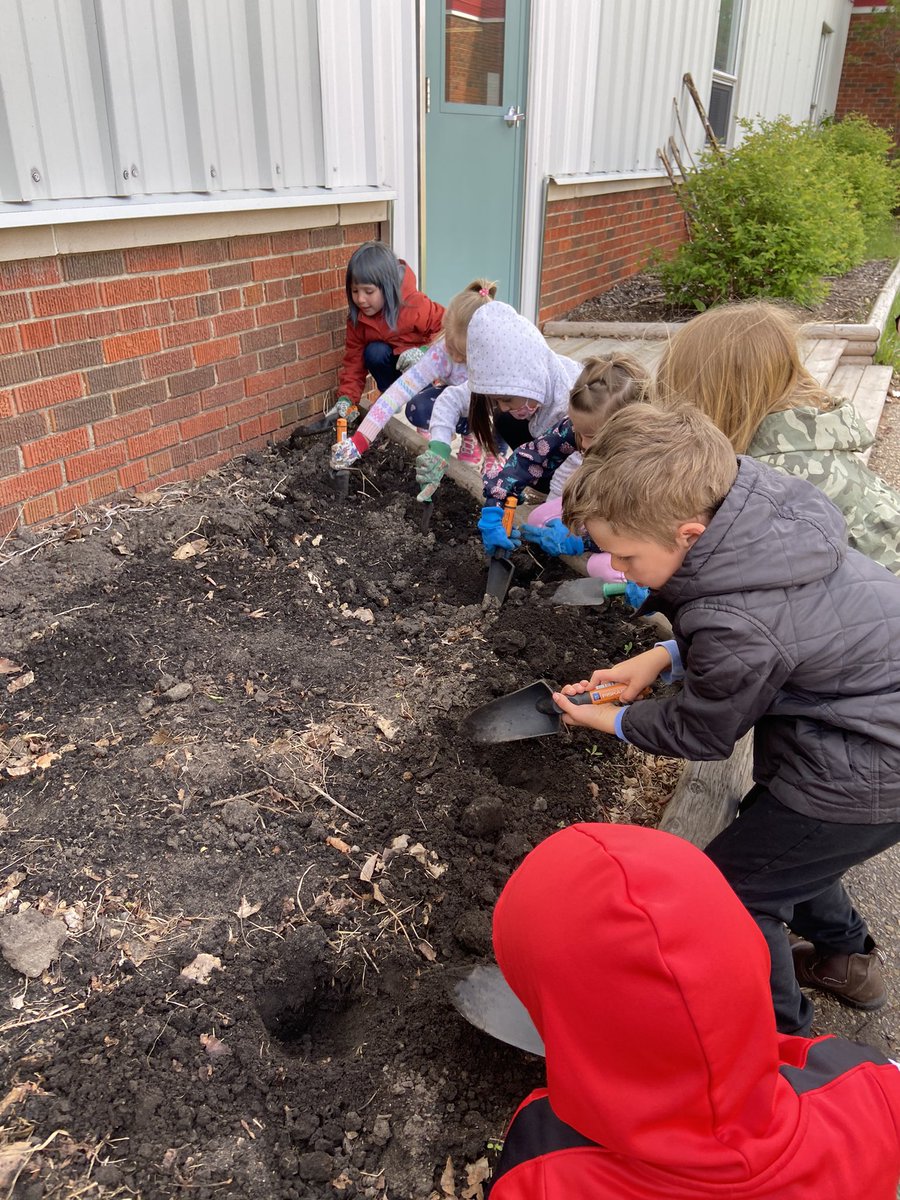 We planted our pumpkin seedlings in the green space <a href="/EJSMSchool/">Ecole J S McCormick</a>. The students will help water them &amp; watch them grow until the fall. Hopefully we will have lots of pumpkins in the pumpkin patch by the fall.