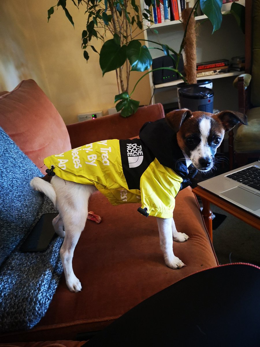 Ready for the presser guys, standby....