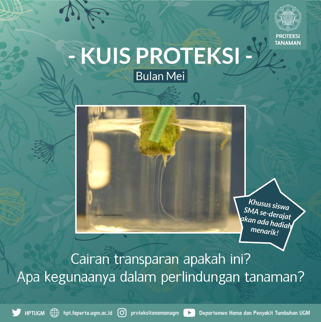 HPTUGM's tweet photo. KUIS PROTEKSI

Selamat siang Sobaat Proteksi, yang ditunggu-tunggu sudah hadir nih ehehe. Jadi kita akan hadirkan kuis yang semoga menarik bagi temen" semua. Okaaay! berikut kuis dan ketentuannya, gaskaan manteman, semoga beruntung 
😄👌

*pemenang akan diumumkan 1 Juni 2021! https://t.co/w4FVIgHqg5