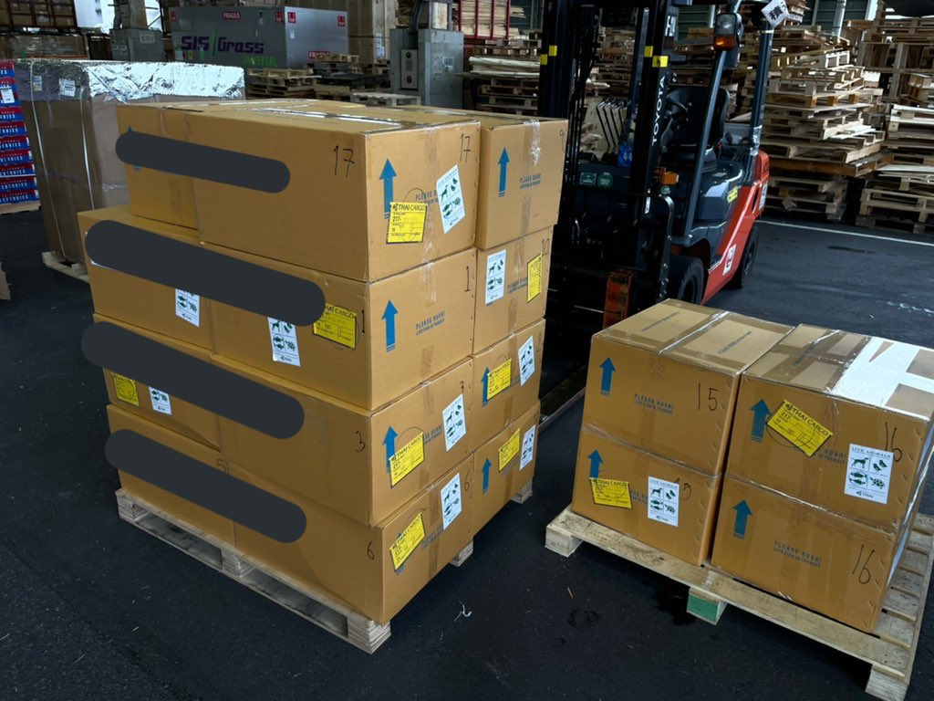 Aqualabeltaiga熱帯魚輸入卸販売 Aqualabeltaiga Twitter