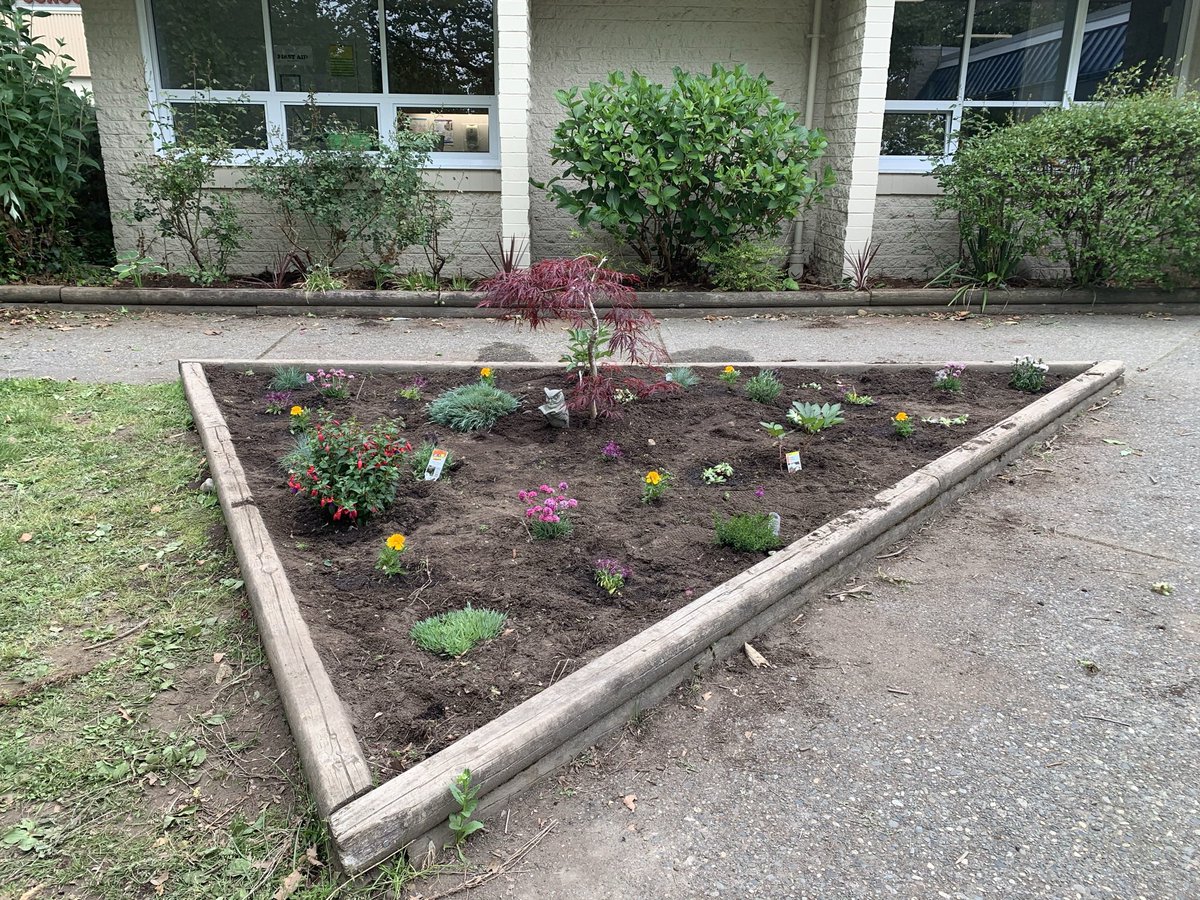 MrsASekhon's tweet photo. Day 2 of #communityweek with @ShawInfo, @surreyschools My little @ClassroomChamps worked so hard to make our gardens a beautiful place for everyone. We even started setting up an outdoor classroom for our school too! Thank you @ArtKnappsSurrey for helping us stretch our budget https://t.co/vlb0FsUF91