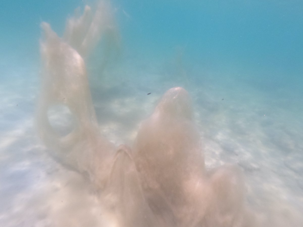 BillSellars2's tweet photo. #Gallipoli #CapeHelles #VBeach #SeaSnot You may have seen reports in the media about "sea snot" along the Turkish coast, massive algae bloom blanketing coastal areas. The Dardanelles and the southern peninsula have been affected badly. https://t.co/BVKgseTNKn