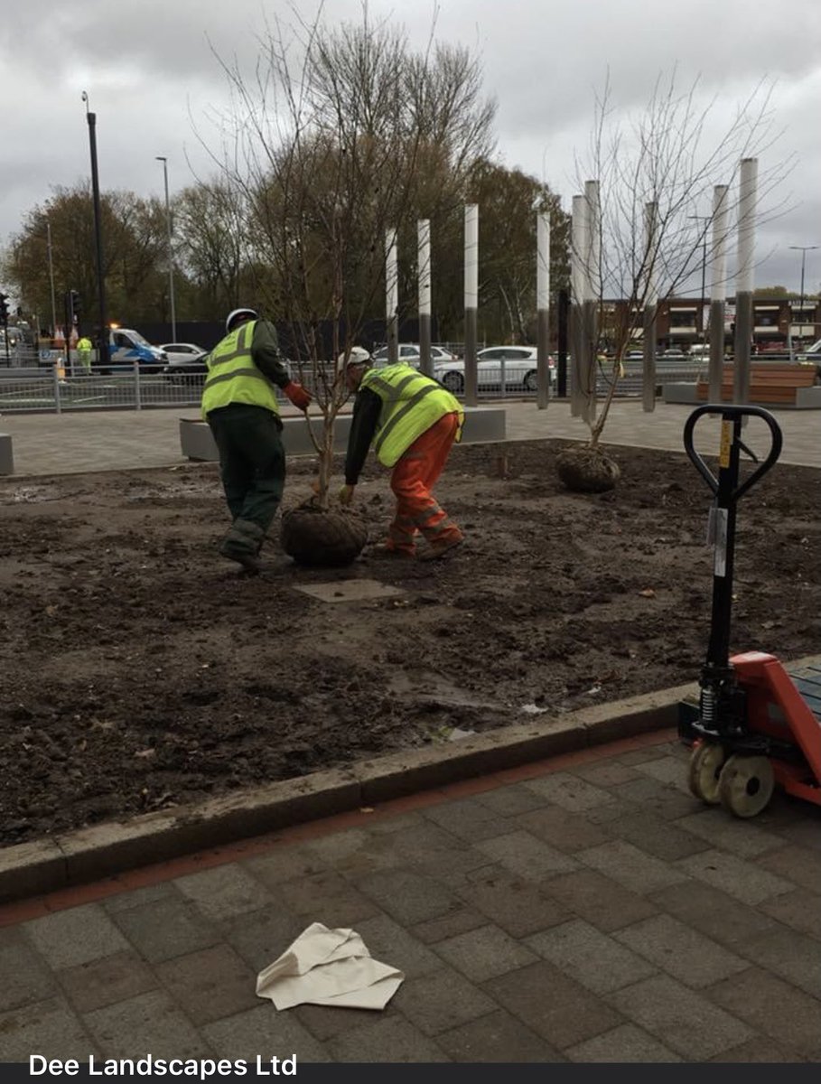 A.E.Yates Salford tree planting