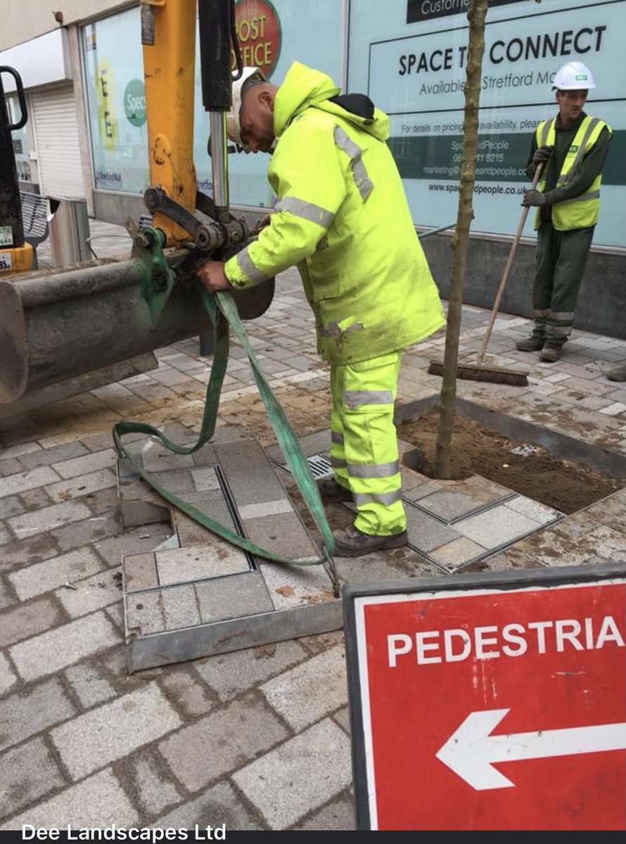 A.E.Yates shrub and tree planting, Salford