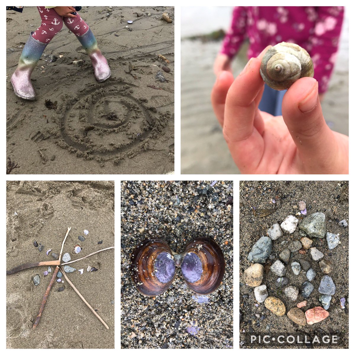 Jennifer Wong (@jenntangwong) on Twitter photo Patterns in the classroom and patterns in nature! <a href="/SylviaMarieKing/">Sylvia King</a> <a href="/HollyburnSchool/">Hollyburn Elementary School</a> #westvaned Patterns in the classroom and patterns in nature! <a href="/SylviaMarieKing/">Sylvia King</a> <a href="/HollyburnSchool/">Hollyburn Elementary School</a> #westvaned