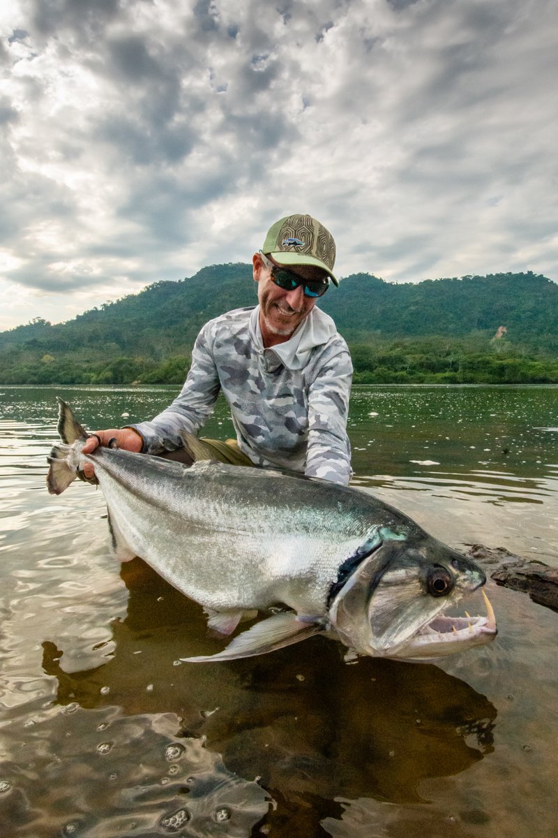 Untamed Angling tweet media