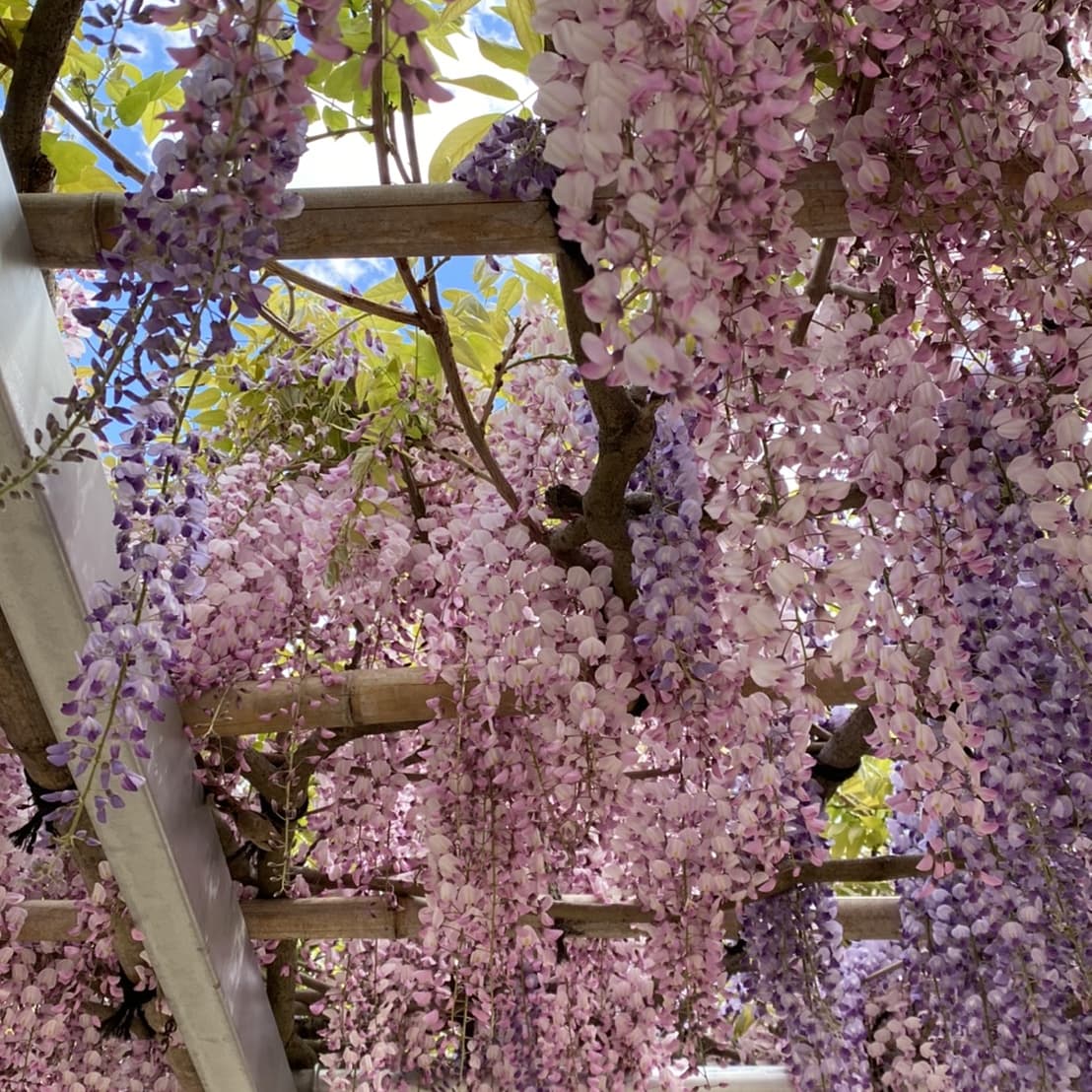 商売繁盛 Twitter Search