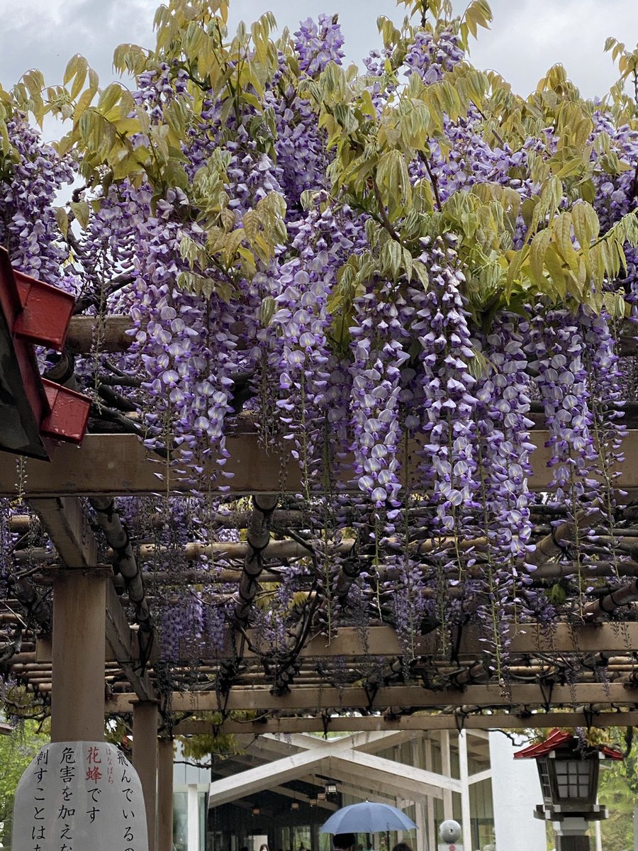 商売繁盛 Twitter Search