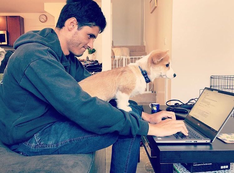 revalenca's tweet photo. @AbiDavi23006339 @PhDVoice @AcademicChatter It is a lot of work to have a dog, but it is great to get some second opinion on my data analysis/writing. Definitely worth it during my PhD! https://t.co/KhucNpsDYG