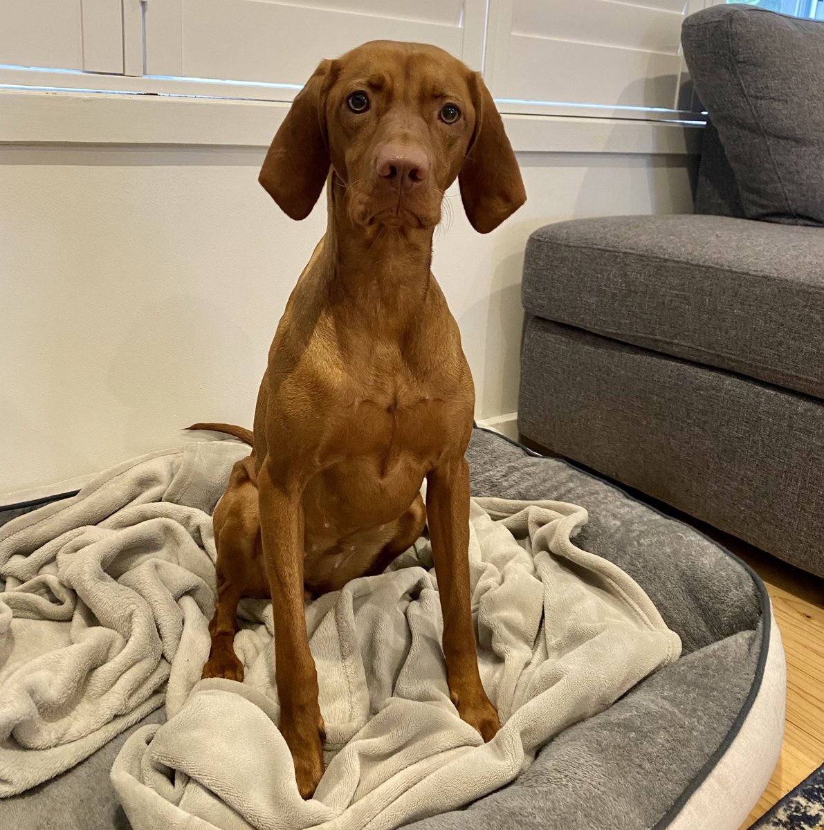 The real winner of the #MelbourneLockdown