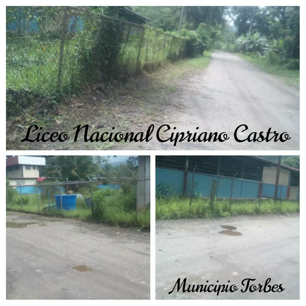 Jornada de limpieza y desmalezamiento de la entrada principal de la institución por parte de los estudiantes de 5to año. Liceo Nacional Cipriano  Castro municipio Torbes
<a href="/Torbescircuito2/">Torbescircuito02</a> 
<a href="/charlyrojas/">charly rojas</a> 
<a href="/ConAnitta/">Ana Maria Chávez Con</a>