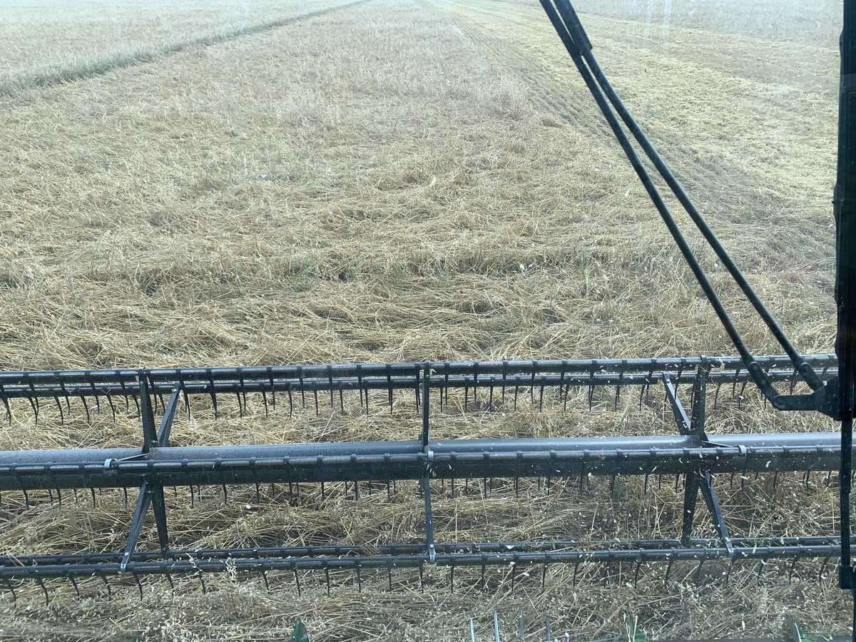 Do you have days when you question your career choice? Yeah, me neither. I love my job. Even when it is picking storm damaged oats off the ground. #harvest21