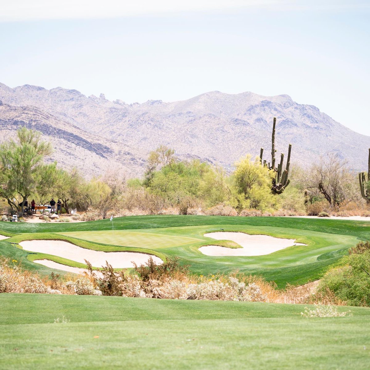 SunDevilWGolf's tweet photo. It was an honor to serve as the host institution of the 2021 @NCAA Women’s Golf Championship ⛳️ 

Can’t wait to see even more fans at @GrayhawkGolf the next two years 🏜 https://t.co/e5mDYtaPpr