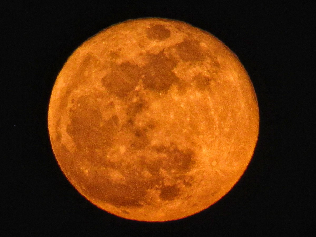 sarteach's tweet photo. Una mirada al bello espectáculo de la #LunaDeSangre desde mi azotea. https://t.co/LSjqIQdJ41