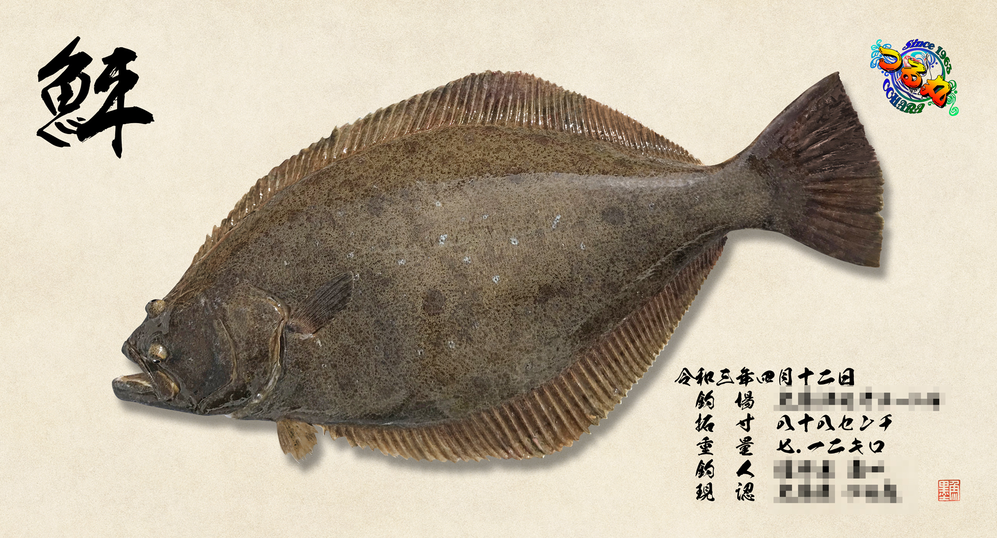 デジタル魚拓 魚墨 本日のご紹介は 千葉県いすみ市大原港のつる丸さまからご依頼いただいた ヒラメ さすがの激熱な釣果ですね リアル魚拓はつる丸さまに展示していただくということでロゴを入れさせていただきました ゞ つる丸さまhp T Co