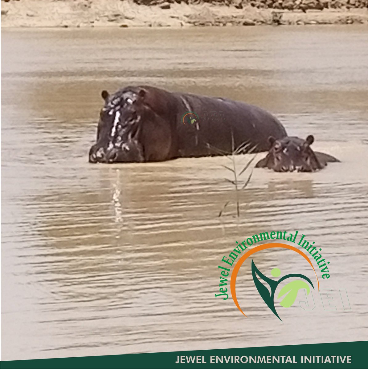 JEnvironmentNG tweet picture