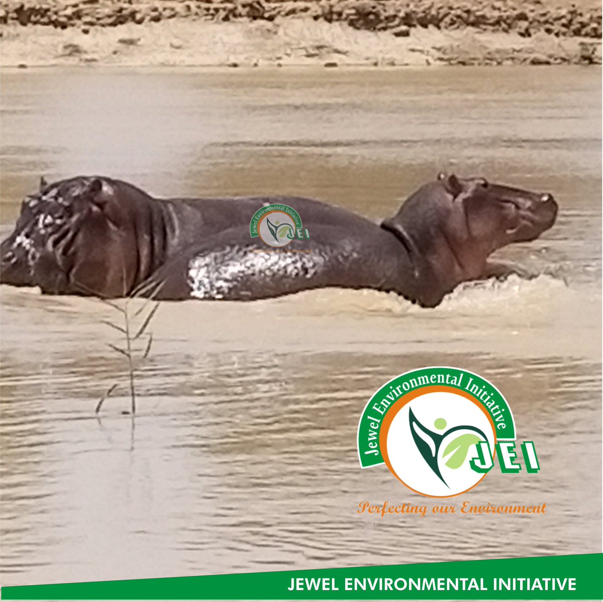 JEnvironmentNG tweet picture
