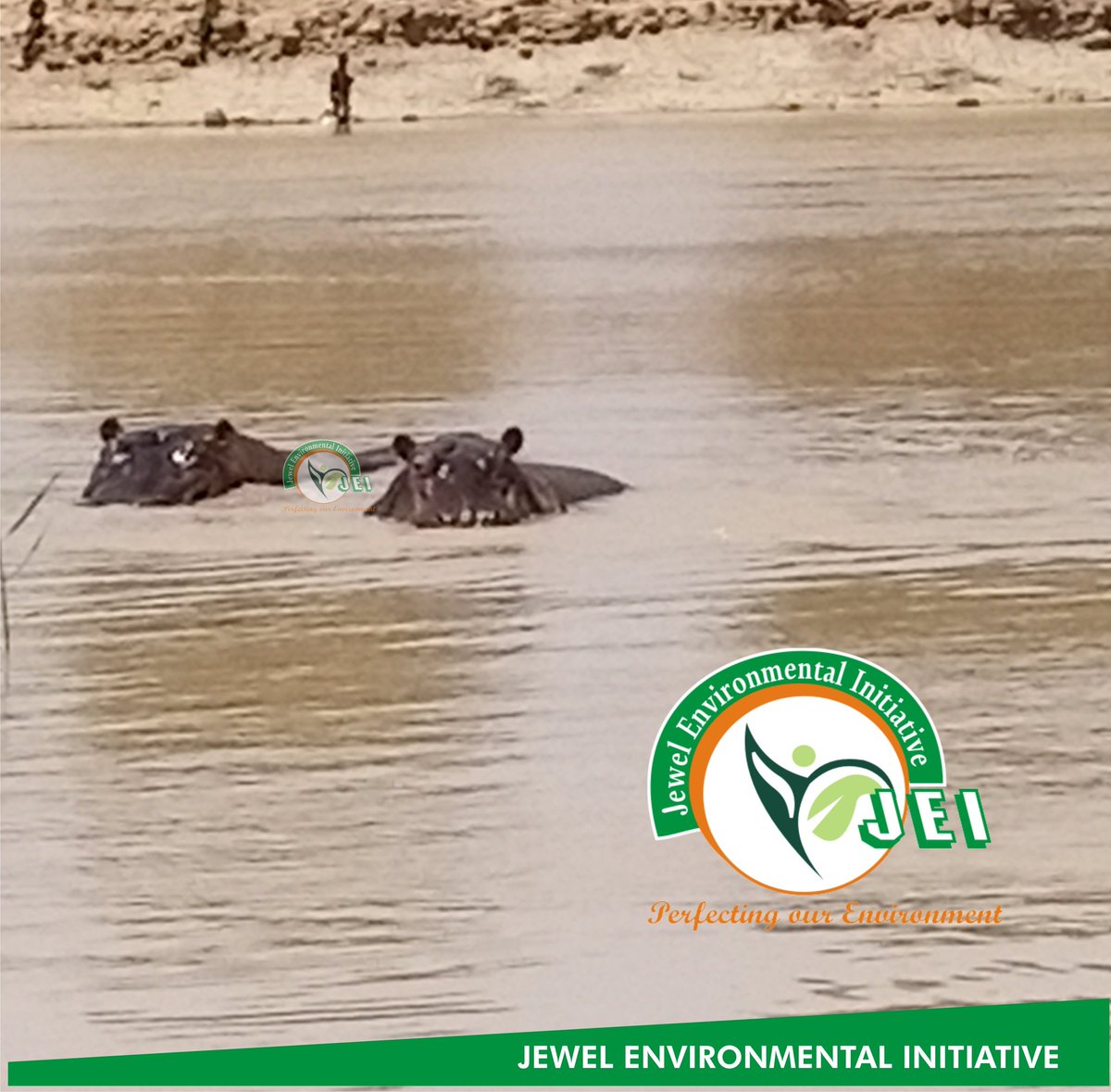 JEnvironmentNG tweet picture