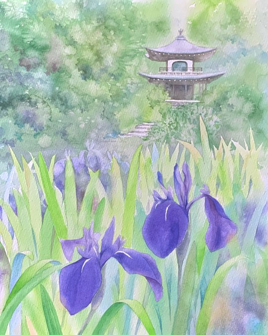 カキツバタのtwitterイラスト検索結果