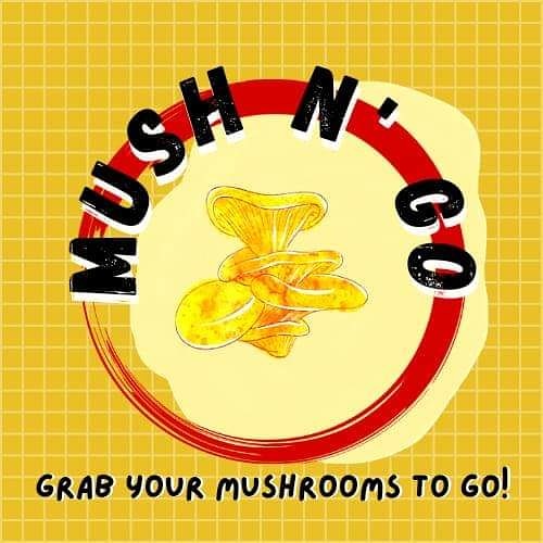 MUSH n' GO tweet media