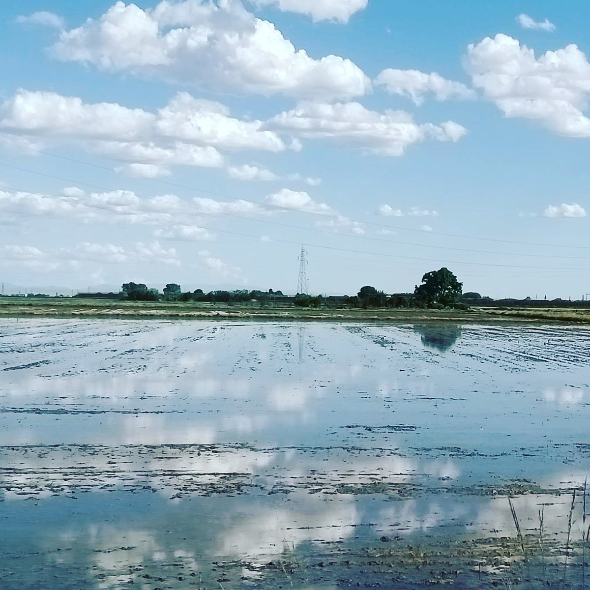 Perché visitare il "mare a quadretti" di Novara dolceterra tra i due fiumi.
Ve lo spiego nel mio blog.
guidanovaravercelli.wixsite.com/home/post/perc…