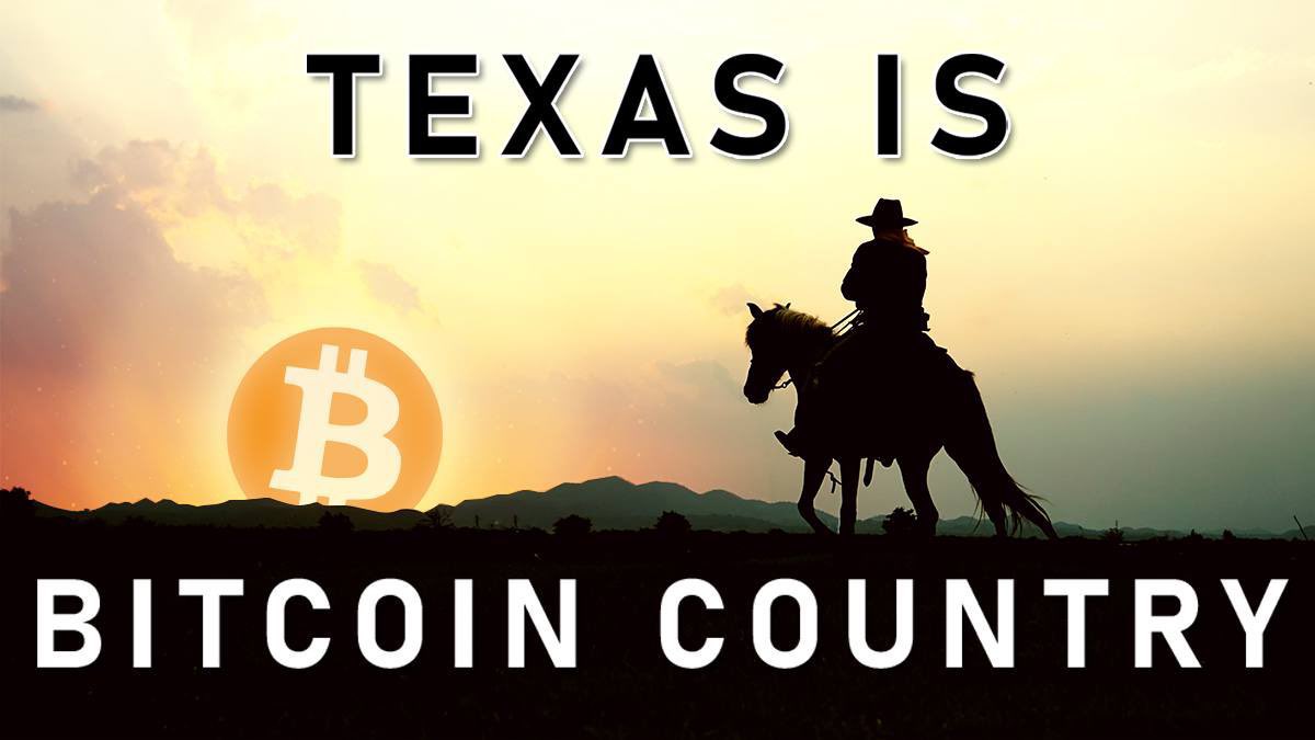 Christopher Calicott tweet media