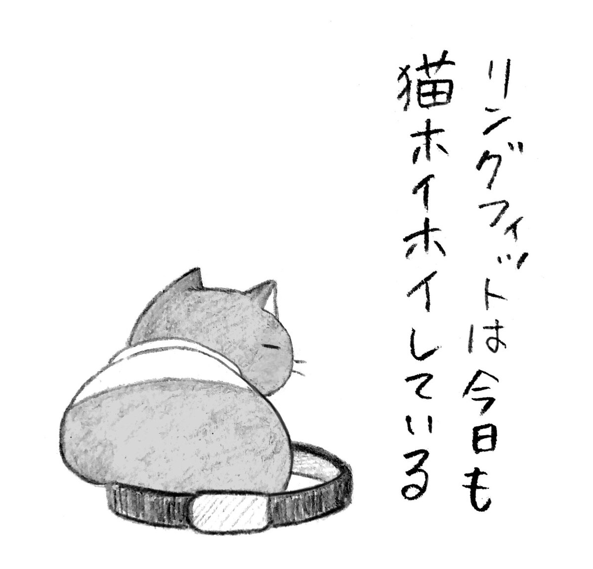 やります 