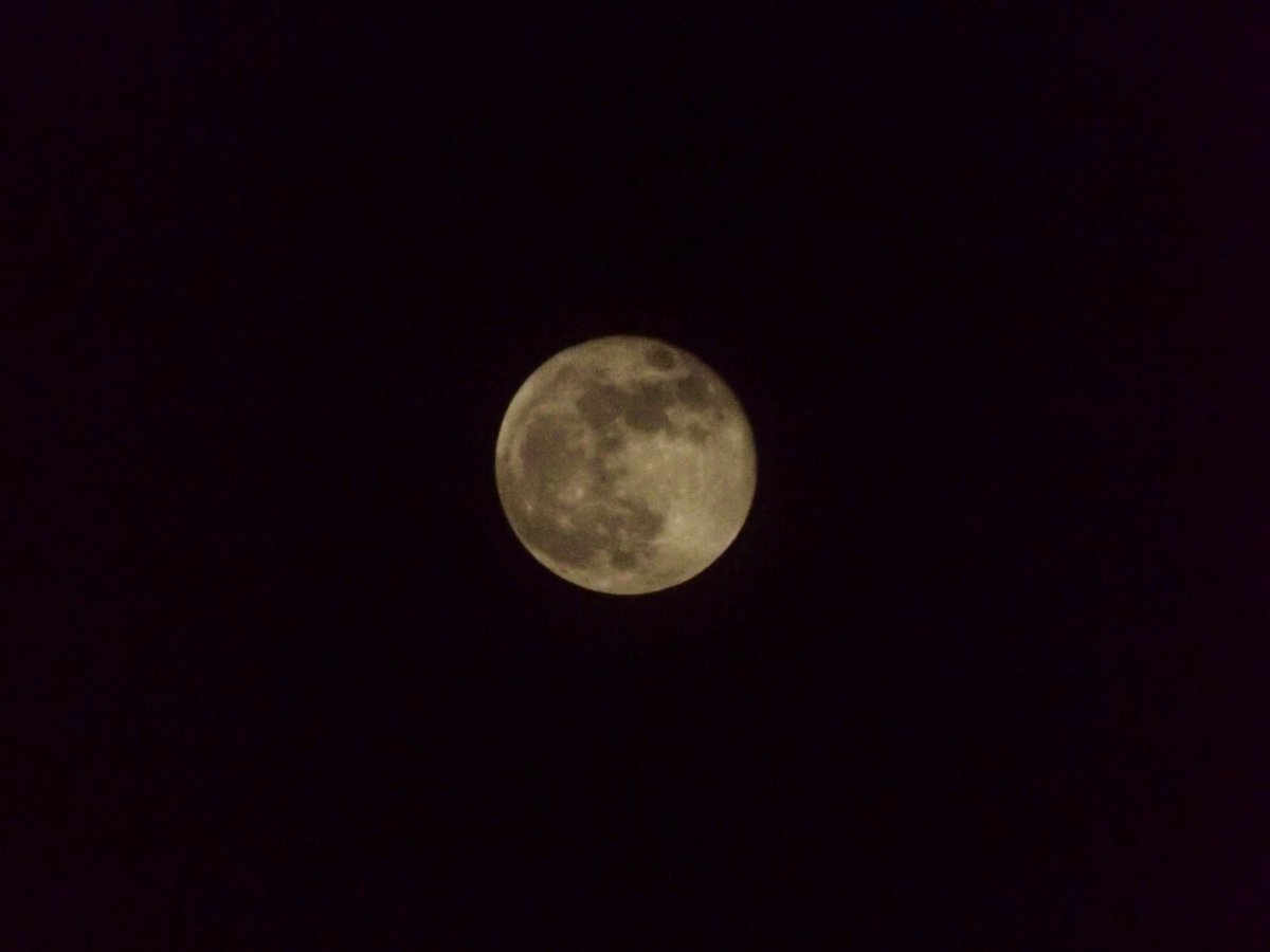rodulphoto's tweet photo. #SuperFlowerBloodMoon https://t.co/07UuayMRqQ