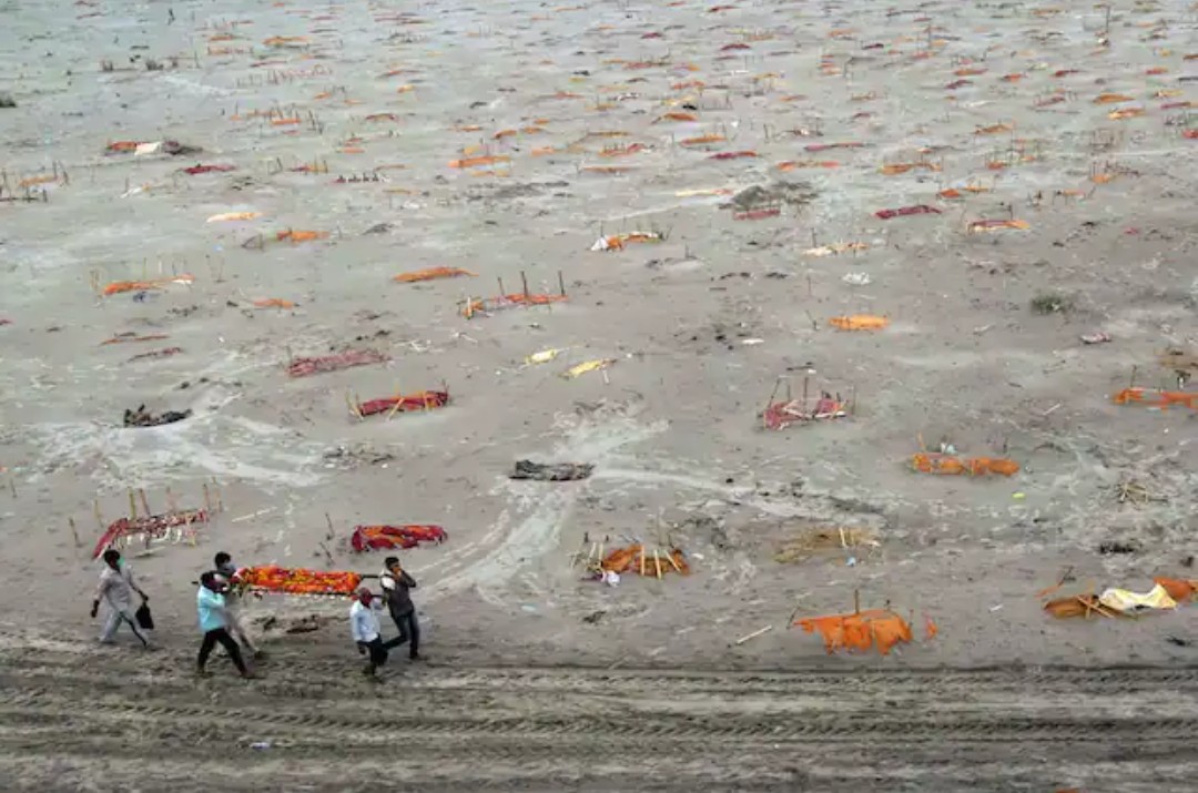 PplOfCongress's tweet photo. As Covid-19 devastates rural India, Modi and his ministers focus on covering up their incompetence.
Relatives carry a body for cremation past the graves of people believed to be covid-19 victims on the banks of the Ganges River in Shringverpur, India.

#KafanChorBJP https://t.co/3IZ53EX0lv