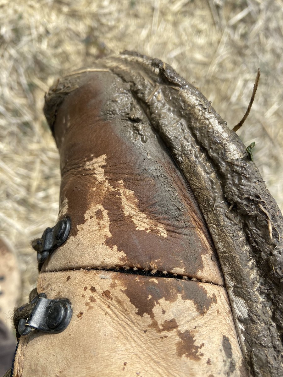 Lyle Jensen tweet media