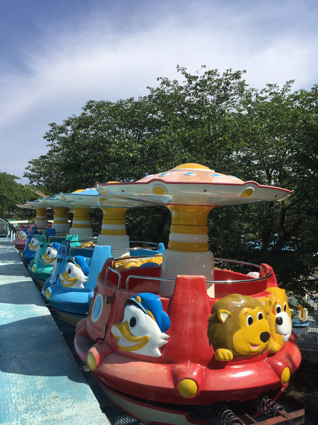 宇都宮動物園【公式】 on X: 宇都宮動物園【公式】 on X:
