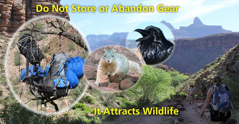 Crossing the canyon this month? Don't store or abandon gear along the trail. Storing gear along the trail attracts wildlife seeking a handout, can look like litter, and degrades the natural environment. #GrandCanyon #Arizona #LNT #R2R #Hiking #Running