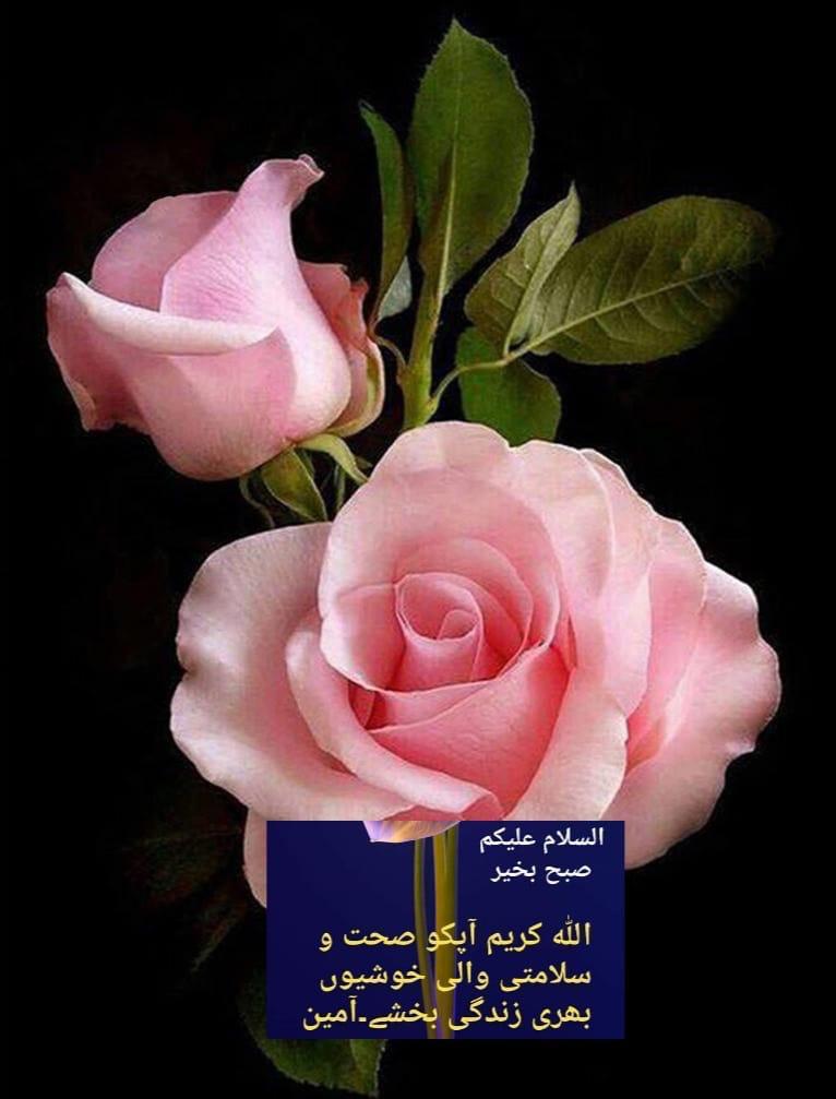 #نماز_قائم_کرو
4⃣
<a href="/J5Malik/">ملک جمیل الرحمن</a>
<a href="/I_H_101/">Iftikhar Hussain</a>
<a href="/AWK4149/">Abdul Wahid Mayo</a>
<a href="/Arshi1M/">ارشــــــــــــ𝒦𝒽𝒶𝓃ـــــــــــــــد</a>
🌷
@gujr95
<a href="/5ra512/">Dr.Raza Haidery</a>
<a href="/Its_zib/">J.M ZE</a>
<a href="/786ab_/">M.Ab</a>
@MRK__07
@595_i
<a href="/NO0R_U/">نُور الهُدىٰ فَاطِمه`</a>
<a href="/ahrk81/">Rana Abdul Hameed</a>
<a href="/Zah_63/">Zaheer Abbas</a>
<a href="/12Mahi1/">🥀mahi1🥀</a>
<a href="/A1_Rind/">Faiz Rasool Rind</a>
@Akram_utm
<a href="/Sohail2nice/">Sohail Ahmed</a>
<a href="/ghazalizpr_/">عبدالرشیداعوان</a>
<a href="/Abd_ul5/">abdul aziz</a>
<a href="/M_ISHFQ/">Malik ishfaq</a>
<a href="/tuqeerna/">توقیرناصربلوچ®</a>
<a href="/YousfiShaima/">shaima yousfi</a>