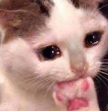 conystudiox's tweet image. เราลงเบอร์ไรไว้หว่า จะกรี๊ดแล้วนะ