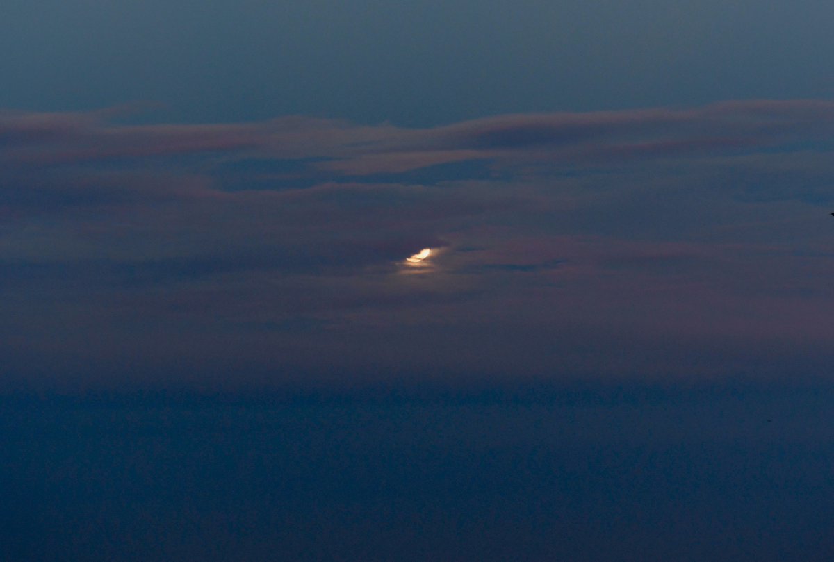 JulieEllerton's tweet photo. Bad Moon On The Rise🌚
Last night’s full moon rising, Super Flower Blood Moon...
Malibu
#badmoonontherise #superflowerbloodmoon #SuperBloodMoon #bloodmoon2021 #beachlife #powerfulforce #malibu #california #MyDayInLA https://t.co/WXhmJknMzp