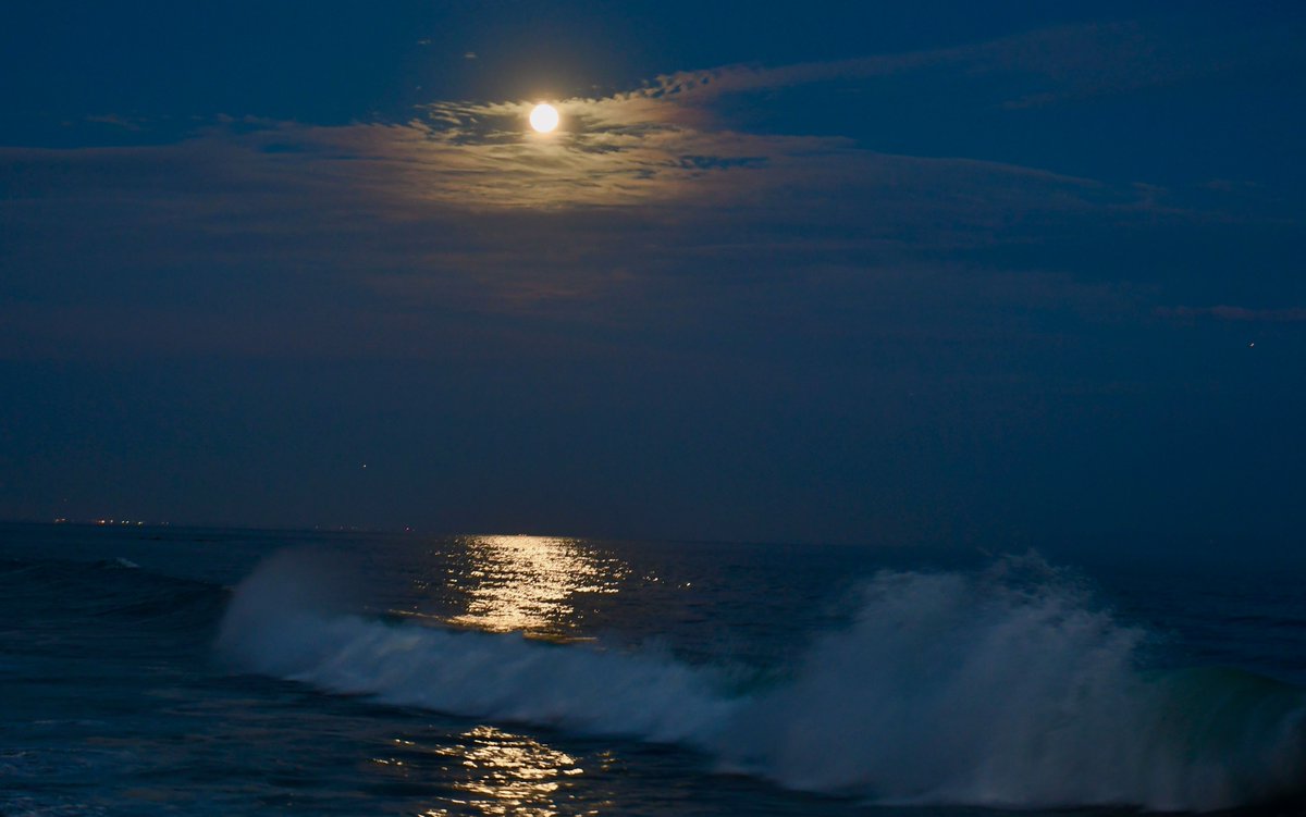 JulieEllerton's tweet photo. Bad Moon On The Rise🌚
Last night’s full moon rising, Super Flower Blood Moon...
Malibu
#badmoonontherise #superflowerbloodmoon #SuperBloodMoon #bloodmoon2021 #beachlife #powerfulforce #malibu #california #MyDayInLA https://t.co/WXhmJknMzp