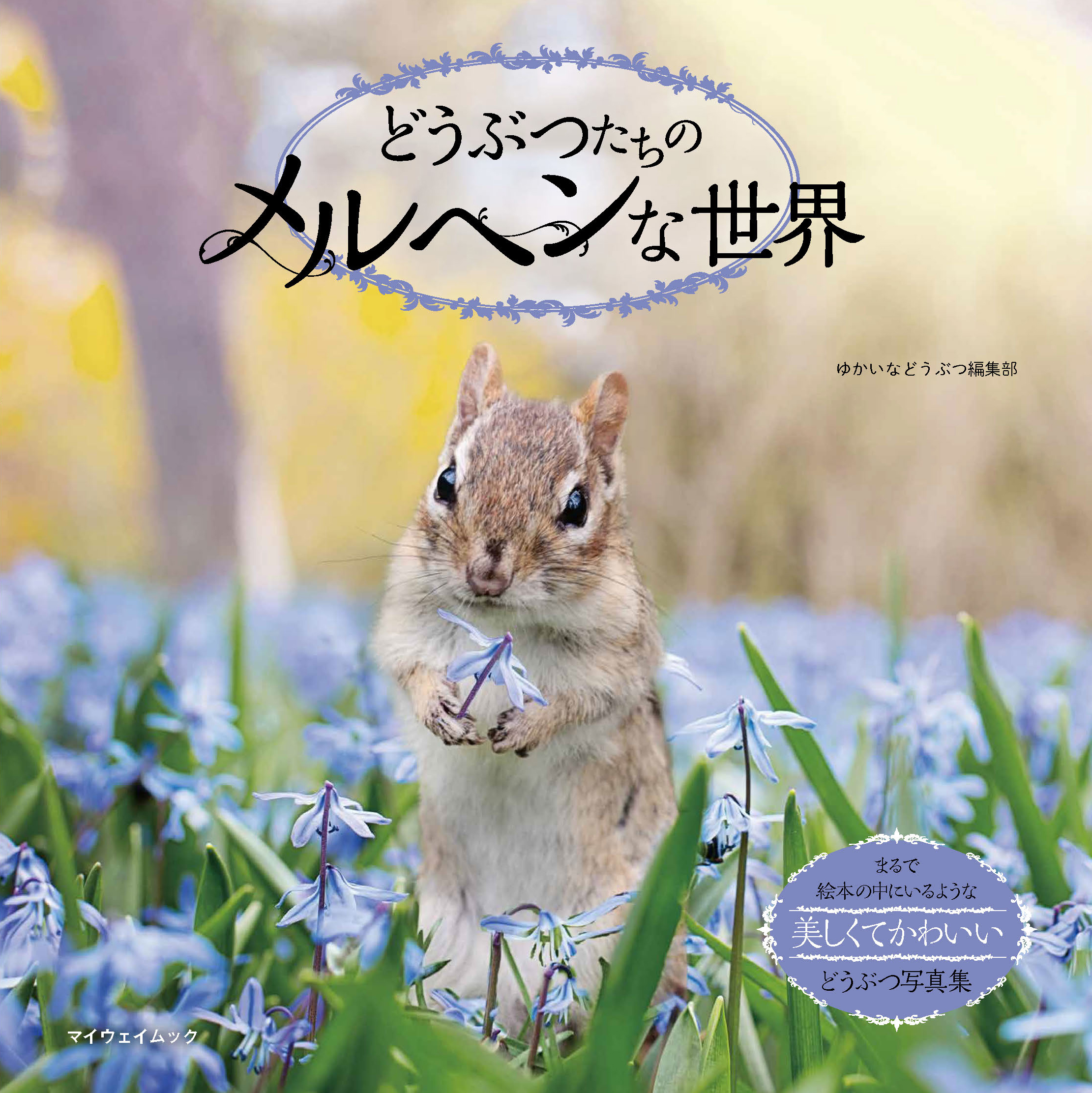 ピーエーディー A Twitter ほっこり癒し系 可愛い動物の写真集 ステイホームでも 眺めてときめく癒しのひととき かわいい動物がいっぱい どうぞ宜しくお願いします 編集 制作 株式会社ピーエーディー 動物写真集 動物本 動物 どうぶつ 動物好き Https T