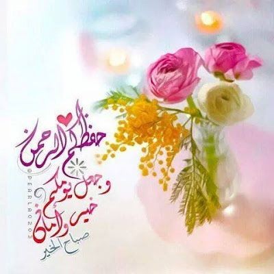 shamsalsadh's tweet photo. يارب بساطة الشعور ومغفرة الذنوب 
ونعيم الجنة🧡🧡 https://t.co/F6sO2kic9s