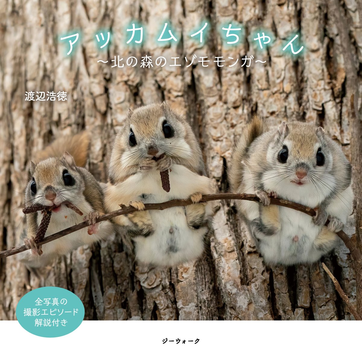ピーエーディー Pa Twitter ほっこり癒し系 可愛い動物の写真集 ステイホームでも 眺めてときめく癒しのひととき かわいい動物がいっぱい どうぞ宜しくお願いします 編集 制作 株式会社ピーエーディー 動物写真集 動物本 動物 どうぶつ 動物好き ピーエーディー Pa Twitter ほっこり癒し系 可愛い動物の写真集 ステイホームでも 眺めてときめく癒しのひととき かわいい動物がいっぱい どうぞ宜しくお願いします 編集 制作 株式会社ピーエーディー 動物写真集 動物本 動物 どうぶつ 動物好き
