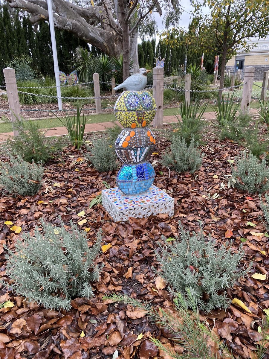 roxyparkps's tweet photo. How blessed we are to have Chris Walker at RPPS. Our grounds &amp; gardens look amazing! Appreciate the work Chris does. 
#schools
#education
#gardens
#outdoors
#play https://t.co/EdOuwLEcQw