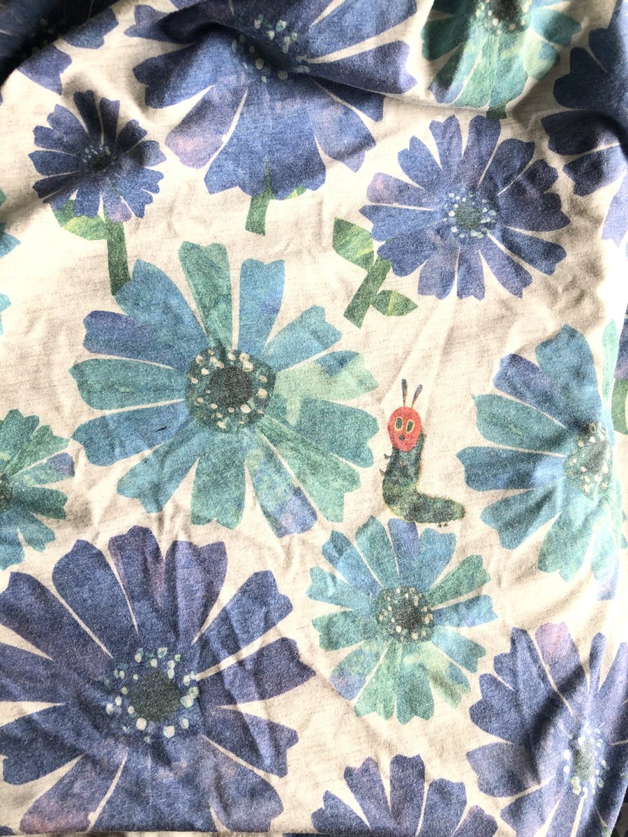 はらぺこあおむし の感情分析 Nyakone