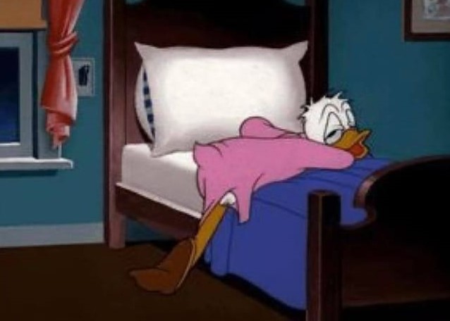 elespacioviral's tweet photo. Cuando no has dormido bien y debes levantarte temprano: https://t.co/69P8IURMIY