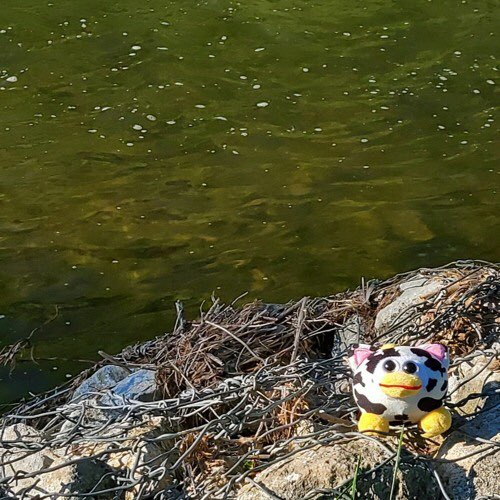 rodney brewer (she/he) (@thech0ke) on Twitter photo 
