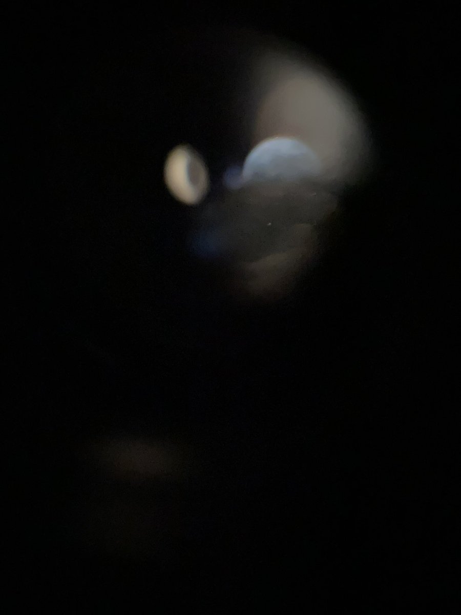 bline02's tweet image. 🌸🌙