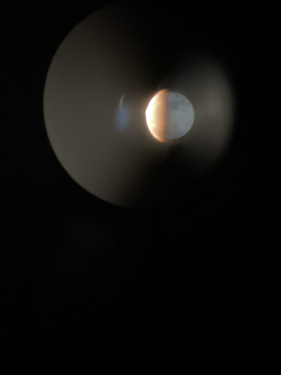 bline02's tweet image. 🌸🌙