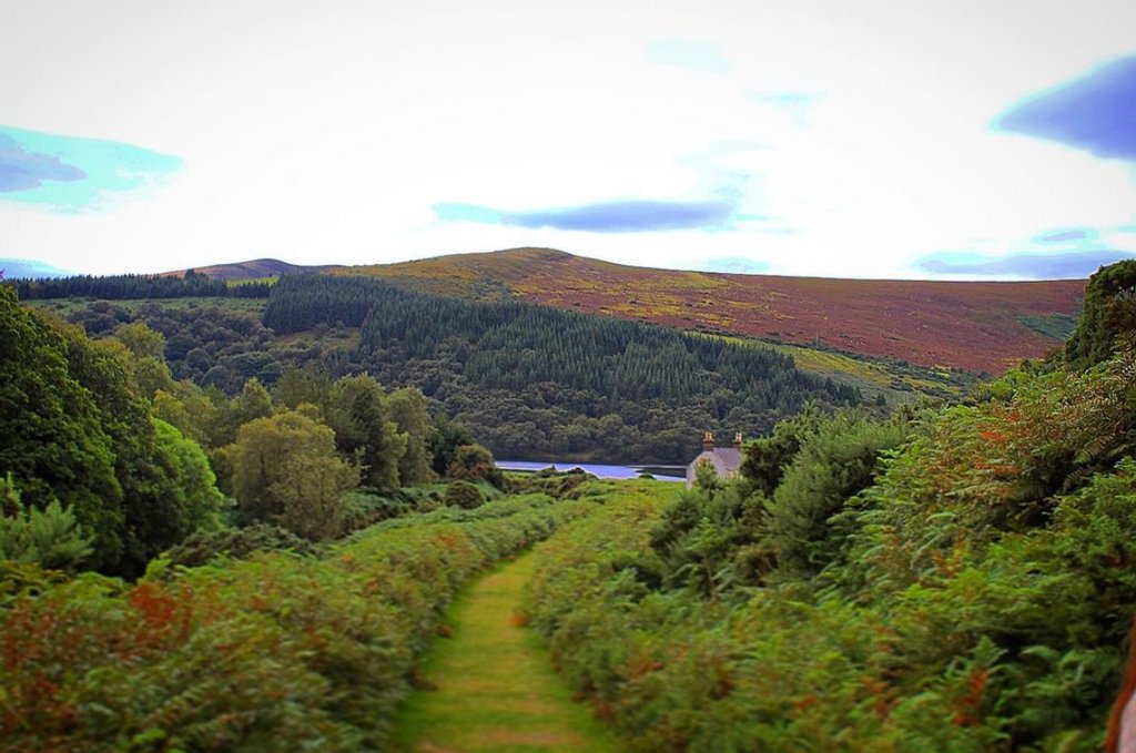 There are very few corners of Wicklow which aren’t spectacular...