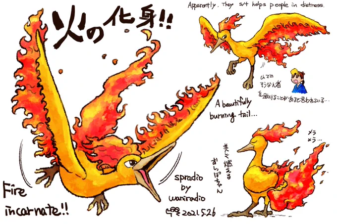 #ポケモンと生活 
#ポケモンGO 
#ファイヤー
#Pokemon
#Moltres 
1日に1匹のポケモンを描くチャレンジ😺 
146日目ほのおを自在にあやつる、ファイヤー!🔥 